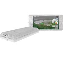 Светильник TDM ELECTRIC вандалоустойчивый LED ДБО 01-12-003 12 Вт, 1000лм, 4000 К, IP54 SQ0353-0203