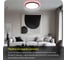 Светильник с пультом Citilux NORMA LED RGB Чёрный CL749401 10