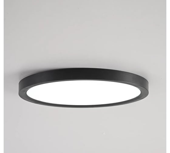 Потолочный светильник IMPERIUMLOFT SLIM D23 Черный 178442-26