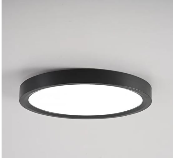 Потолочный светильник IMPERIUMLOFT SLIM D18 Черный 178437-26 1