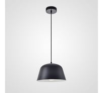 Подвесной светильник IMPERIUMLOFT Ambit Black 184490-26