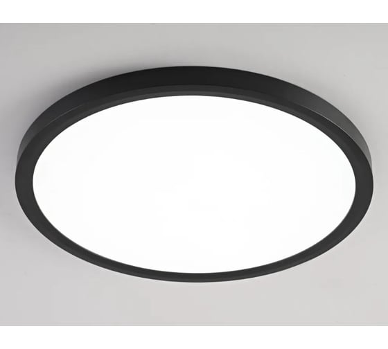 Потолочный светильник IMPERIUMLOFT SLIM D30 Черный 178447-26