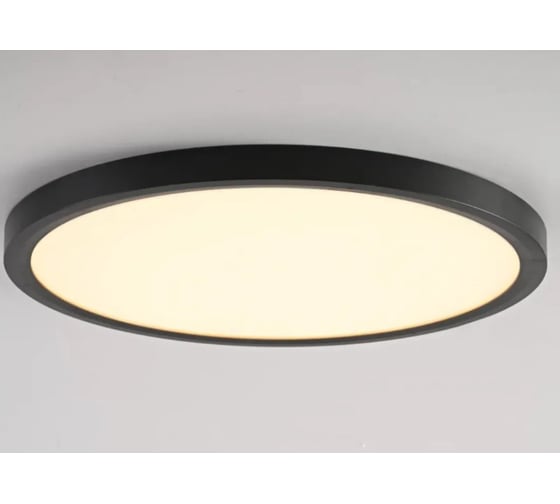Потолочный светильник IMPERIUMLOFT SLIM D30 Черный 178447-26