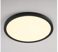 Потолочный светильник IMPERIUMLOFT SLIM D40 Черный 178457-26
