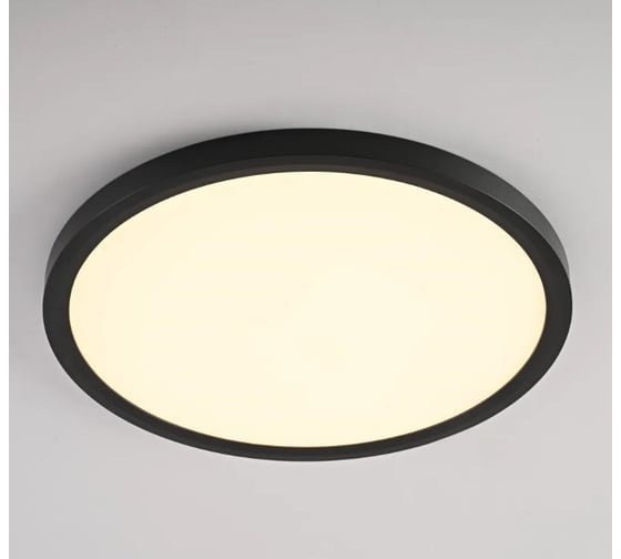 Потолочный светильник IMPERIUMLOFT SLIM D40 Черный 178457-26 1