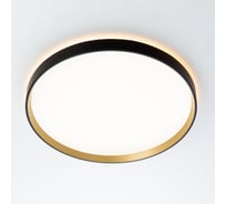 Светильник с пультом Citilux ETALON LED RGB Чёрный+Золото CL750401R