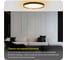 Светильник с пультом Citilux ETALON LED RGB Чёрный+Золото CL750401R 18