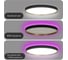 Светильник с пультом Citilux ETALON LED RGB Чёрный+Золото CL750401R 23