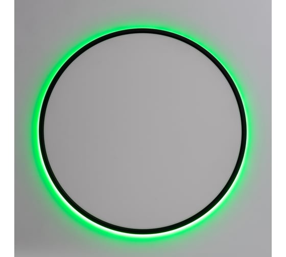 Светильник с пультом Citilux NORMA LED RGB Чёрный CL749501