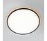 Светильник с пультом Citilux NORMA LED RGB Чёрный CL749601 23