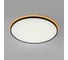 Светильник с пультом Citilux NORMA LED RGB Чёрный CL749601 25