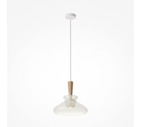 Подвесной светильник Maytoni MOD405PL-01W