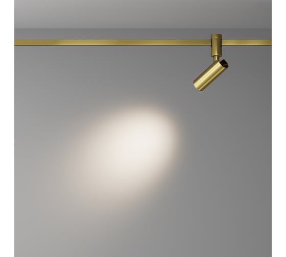 Трековый светильник Maytoni TR144-1-12W3K-W-BS