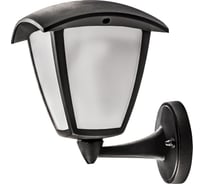 Уличный светильник Lightstar LAMPIONE 375670