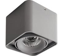 Потолочный светильник Lightstar MONOCCO 052119