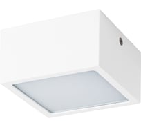 Потолочный светильник Lightstar ZOLLA 213926