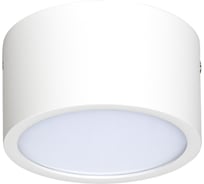 Потолочный светильник Lightstar ZOLLA 213916
