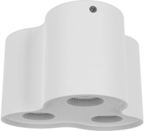 Потолочный светильник Lightstar BINOCO 052036