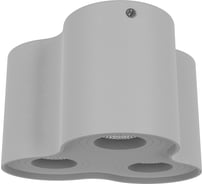 Потолочный светильник Lightstar BINOCO 052039