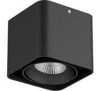 Потолочный светильник Lightstar MONOCCO 212517