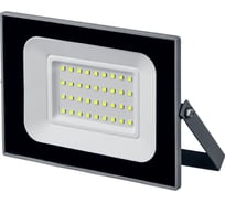 Светодиодный прожектор STAYER LED-Max 30Вт 57131-30_z01