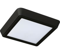 Потолочный светильник Lightstar URBANO 216872