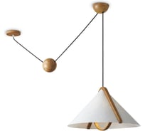 Потолочный светильник Freya FR5554CL-01T