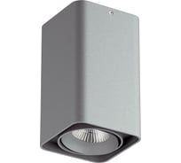 Потолочный светодиодный светильник Lightstar 052139