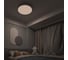 Умный потолочный светильник YEELIGHT Arwen Ceiling Light 550S YLXD013-A YXDS0320002WTEU 14