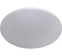 Потолочный светодиодный светильник Crystal Lux Luna PL60-3
