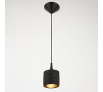 Светильник BayerLux 2053/1BK, E27 60Вт черный 11х10х10-100 см 6907872
