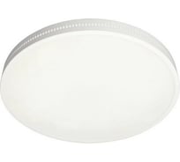 Накладная люстра Omnilux OML-47327-48