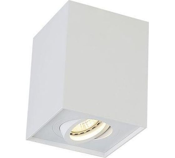 Потолочный светильник Crystal Lux CLT 420C WH 1
