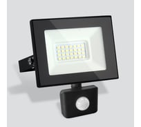 Прожектор Elektrostandard 027 FL LED Elementary с датчиком, 30W 6500K IP44 a051943