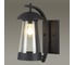 Ландшафтный настенный светильник ODEON LIGHT KALPI стекло, E27, 1х60W 4837/1W 2