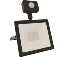 Прожектор ECON LED 30W FL5 S с датчиком движения FL530W-S
