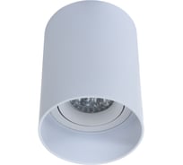 Lumina Deco Накладной светильник Flixton LDC 8053-A SS-D85хH115 WT