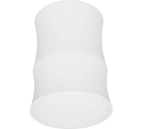 Накладной светильник Lumina Deco Riston LDC 8053-C SS-D85хH115 WT