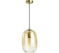 Подвес ODEON LIGHT, стекло E27 1*60W AIRLY 4819/1