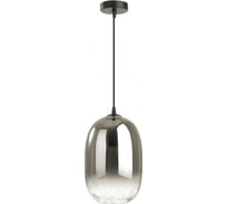 Подвес ODEON LIGHT, стекло E27 1*60W AIRLY 4820/1