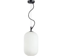 Подвес ODEON LIGHT, стекло E27 60W ROOFI 4751/1