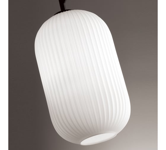 Подвес ODEON LIGHT, стекло E27 60W ROOFI 4751/1