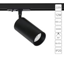 Светильник потолочный ARTE LAMP AERO 220В 12Вт 900Лм 3000К 90 36 A13 A1336PL-1BK