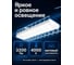 Светильник для спортивных залов ОФИСМАГ с решеткой, светодиодный, КСЕНОН Sport 236LED, 1290мм, 36Вт, 3200Лм 236976 4