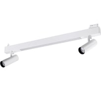 Трековый светодиодный светильник NOVOTECH LED 30W 2*15W ITER 358046