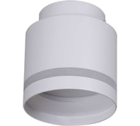 Точечный накладной светильник ReLuce 53001-9.5-001IL GX53+LED3W WT