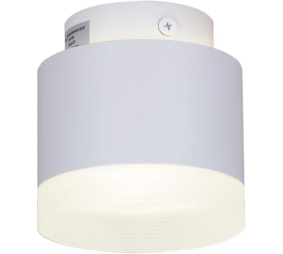 Точечный накладной светильник ReLuce 53004-9.5-001IL GX53+LED3W WT