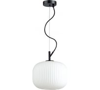Подвес ODEON LIGHT, стекло E27 60W ROOFI 4753/1