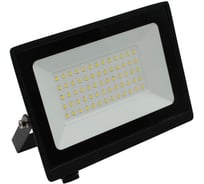 Прожектор светодиодный уличный Turbosky FL-100W 615