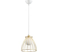 Накладной светодиодный светильник NOVOTECH провод 2м LED 12W ZELLE 358589
